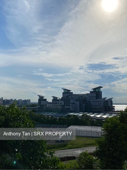 Blk 172 Woodlands Street 13 (Woodlands), HDB 4 Rooms #375996511